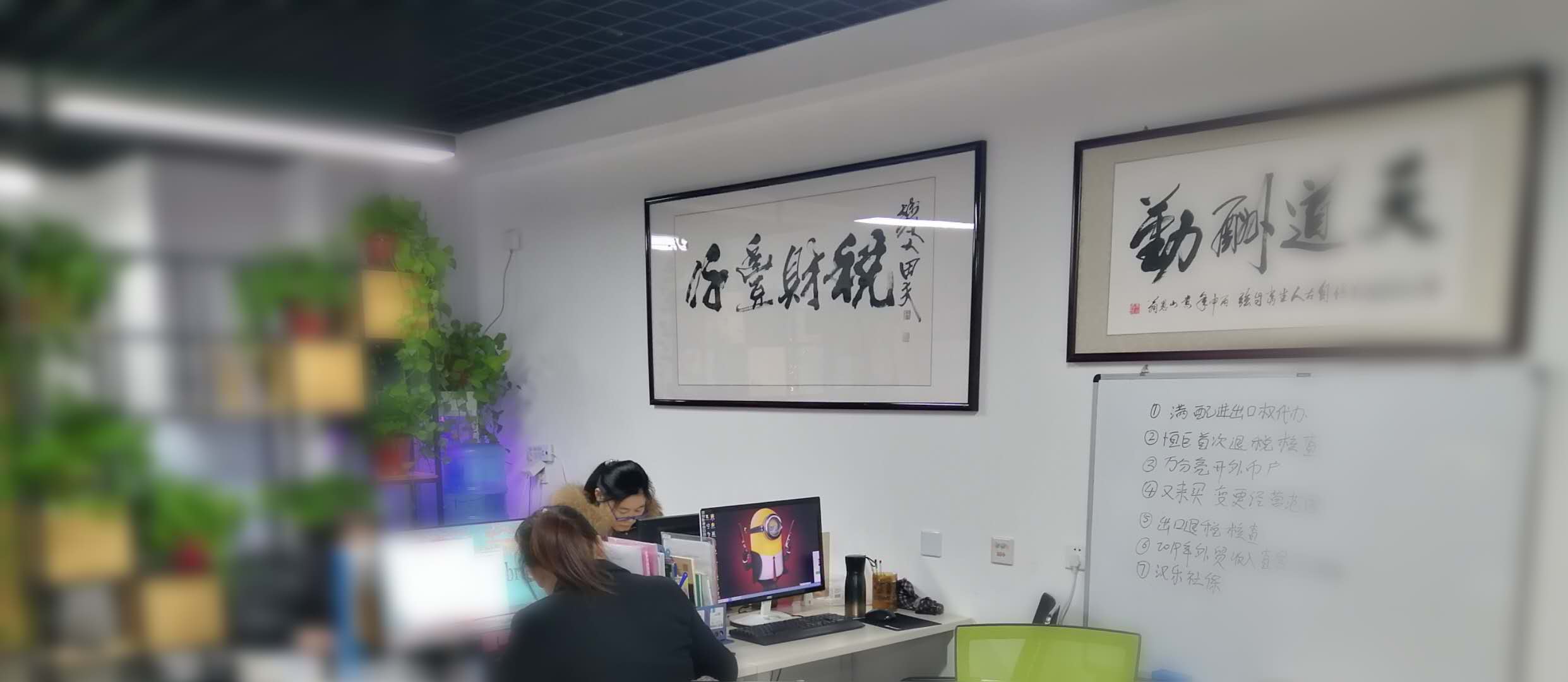 公司团队